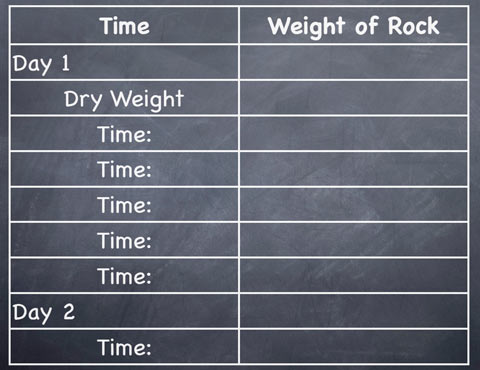 Track your rock's weight with a chart like this