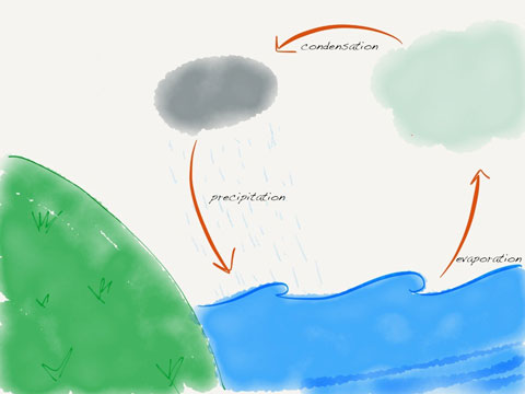 Water Cycle