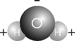 A water molecule is made of a negatively charged oxygen atom and two positively charged hydrogen atoms. 