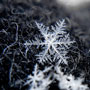 snowflake-thumb