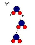 Diagram showing the positive hydrogen ends of the water 