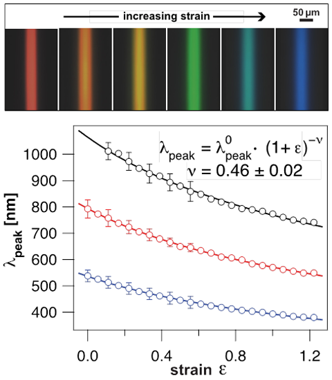 Fiber_Spectrum