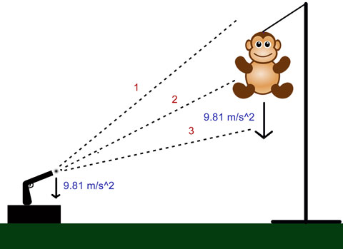 If the monkey starts falling right as the bullet leaves the gun, where should the hunter aim? Above, below, or straight on?