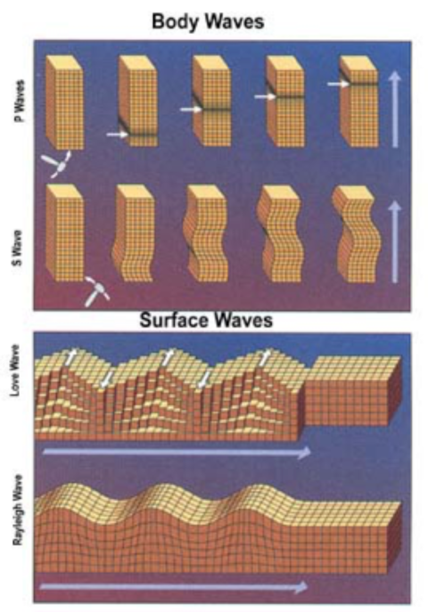 An image of Primary (P) and Secondary (S) seismic waves