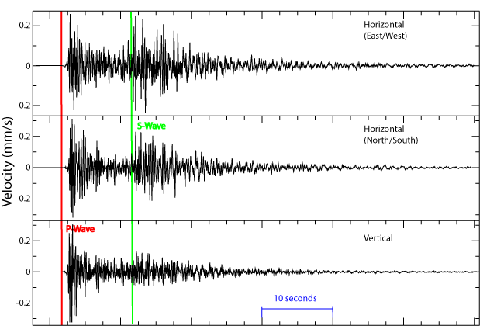 A seismogram displaying P and S waveforms