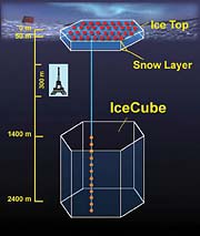 Layout of IceCube 