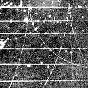 Particle tracks in a cloud chamber