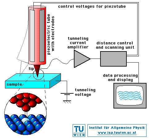 Schematic view of the scanning tunneling microscope (image courtesy of IAP/TU Wein STM Gallery)