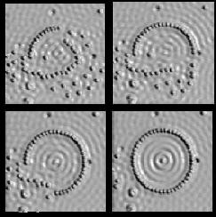 Several stages in the assembly of the quantum corral (Reprinted with permission from IBM)