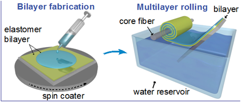 bilayer_fabrication