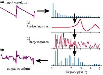 Image showing out-of-plane (Left) and in-plane (Right) motion of a violin body.