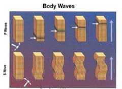 Body Waves