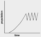 An animal population plotted vs time. The population gyrates between two values, so there is no equilibrium.