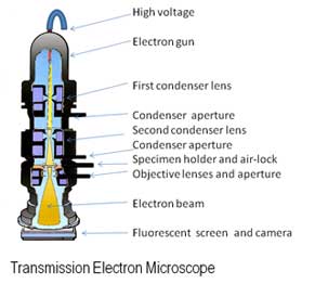 electron_microscope