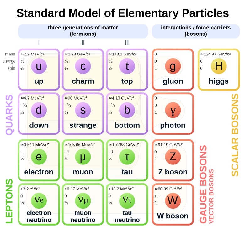 Elementarty particles standard model