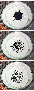 Sequences of ferrofluid patterns formed by a series of applied magnetic fields (top to bottom on left) and with the same fields applied in reverse order (top to bottom on right) (photos courtesy of Cory Lorenz)