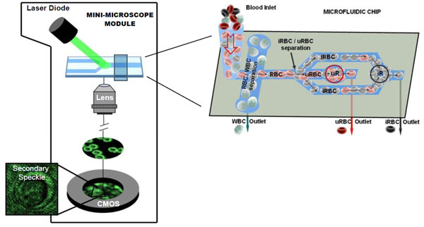 fig2-A schematic of the device used by researchers