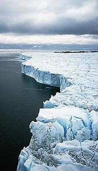 Antarctic ice shelf