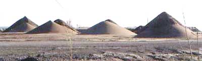 Sandpiles (photo courtesy of Friends of Petrie Island)