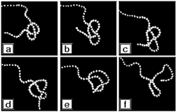 Shaking tray unties knot (image and video courtesy of Eli Ben-Naim, Los Alamos National Laboratory)