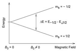 Energy splitting of nuclear spin states as a function of an external magnetic field