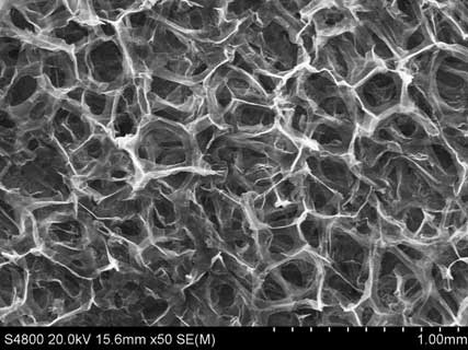 Scanning electron microscope image of the graphitic foam.