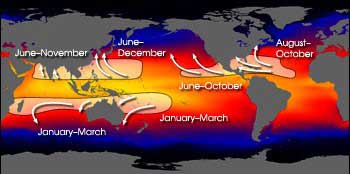 Curvature of the tracks of hurricanes, typhoons, and cyclones worldwide shows the opposite effect of the Coriolis force in the Northern and Southern hemisphere (image courtesy of SSAI/NASA-GSFC and Hal Pierce)