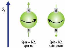 Energy splitting of nuclear spin states as a function of an external magnetic field