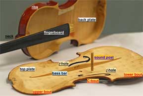 Picture showing the interior construction of the violin