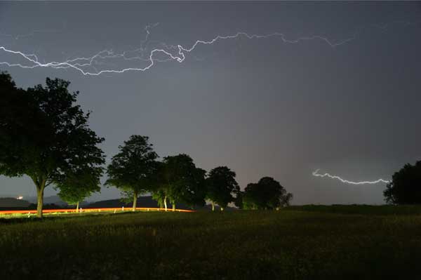 lightning over trees