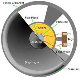 Cutaway view of a loudspeaker