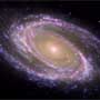 messier 81