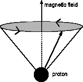  Proton in a magnetic field: The arrow from the proton shows the proton’s spin axis; the tip of this arrow moves in a circle perpendicular to the magnetic field.