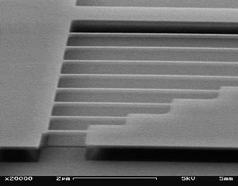 Electron microscope image of the nano-harp - developed by Cornell researchers to study microscopic resonances. ( Photo courtesy of Cornell University)