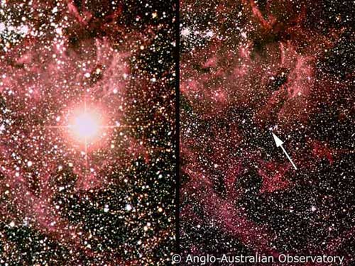 Supernova 1987A (left) Star field before explosion (right) Copyright Anglo-Australian Observatory. Photograph by David Malin.