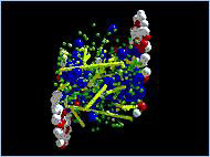 Computer simulation of a collision between two gold nuclei (image courtesy of Brookhaven National Laboratory)