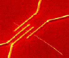 Tungsten leads (bright yellow) deposited to make electrical contact with a nanotube