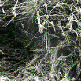 Mat of nanotubes in the soot from a carbon arc discharge