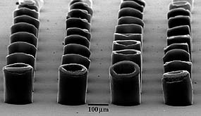 Nanotubes grown in an array (image courtesy of NASA)