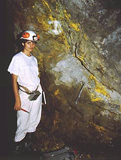 One of the reactor zones at Oklo. Yellow patches are 