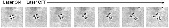 Eight spheres are manipulated into a cubic arrangement with overlapping optical tweezers.