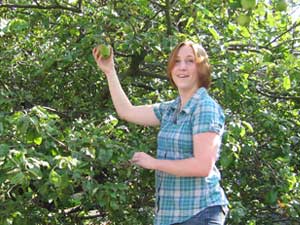 Kelly Picking apples from Newton's Apple Tree in the courtyard of the Physics building in York, UK 