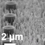 A unique blend of nanoscale structures might let us create frost-proof surfaces