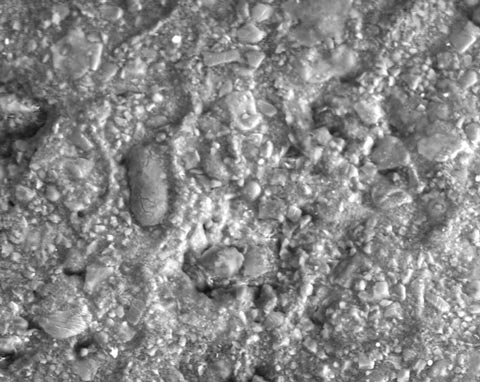 SEM image of chocolate