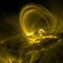 Coronal Loops