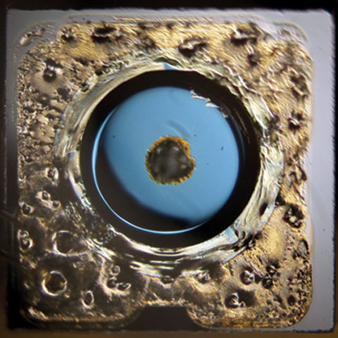 A damaged photodiode