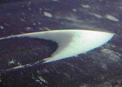 Windblown dunes aren't normally stable at a size that fits in a lab, but a new technique creates them in a water tank. The proportions match those of real dunes and apparently verify fundamental principles of dune formation.