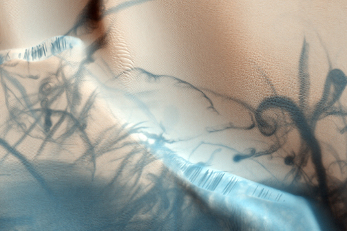 Dust devils on Mars