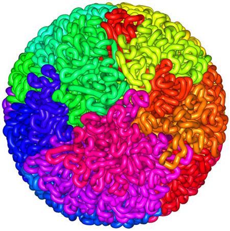 Fractal Globule