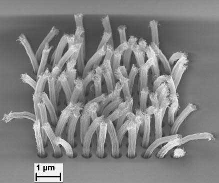 nanotubes